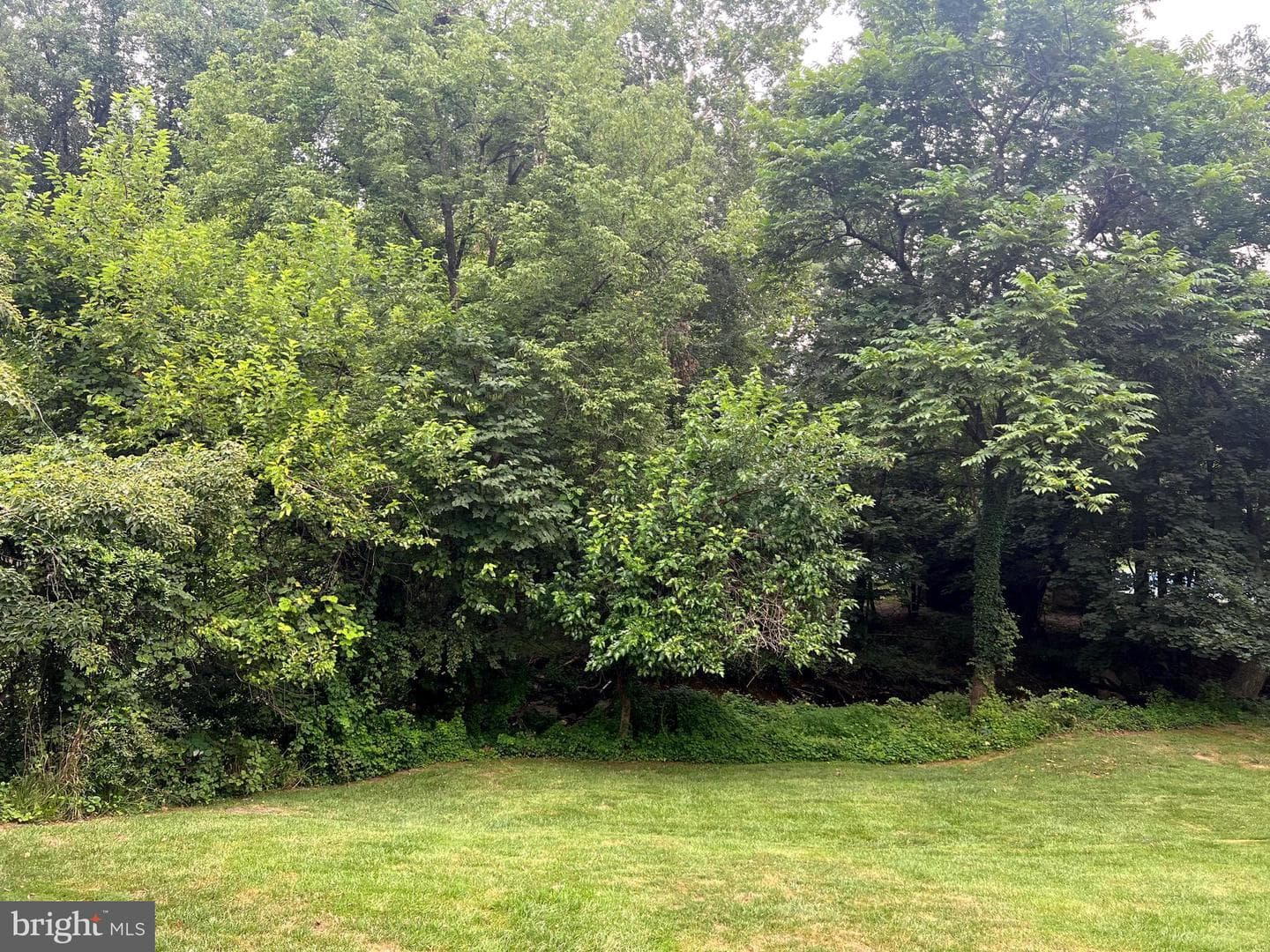 109 Hillside Road photo 76