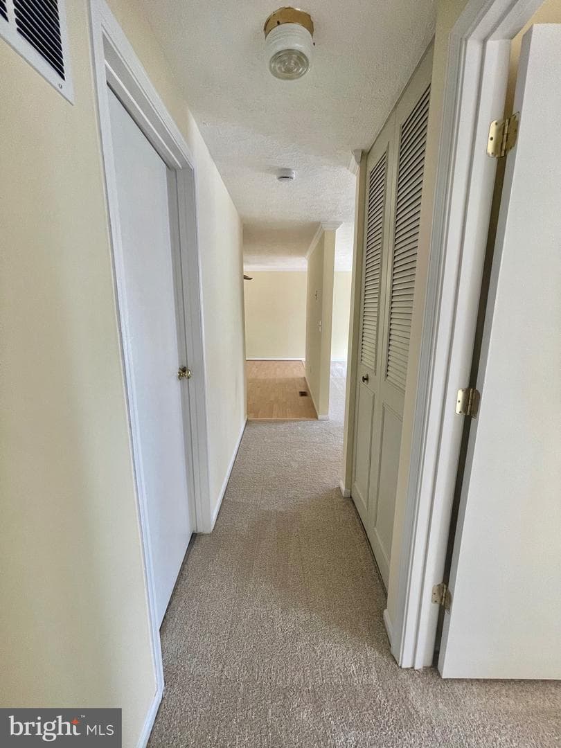 8604 Lawrence Hill Road photo 13