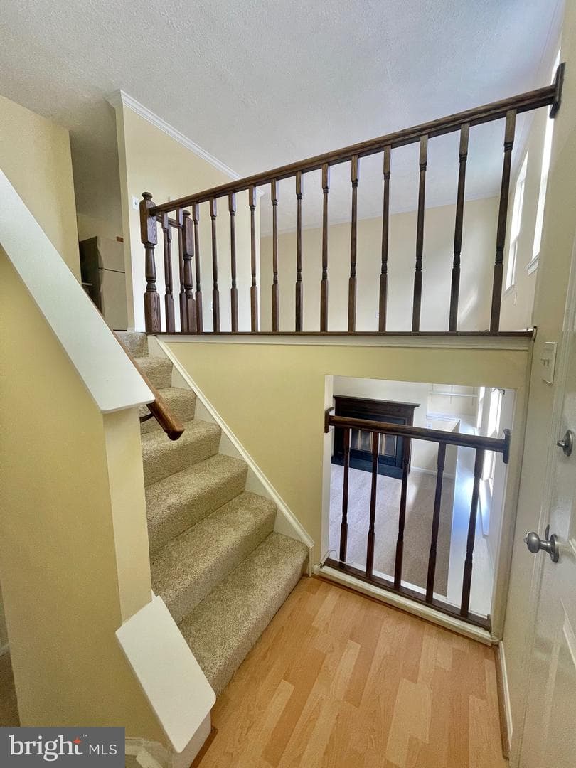 8604 Lawrence Hill Road photo 5