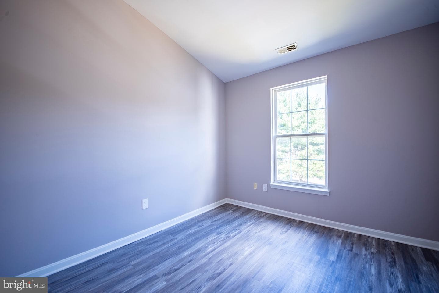 11 Brampton Court photo 30