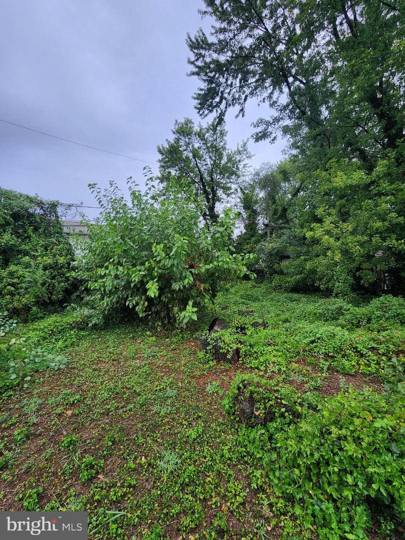 1909 Hammonds Ferry Road photo 16