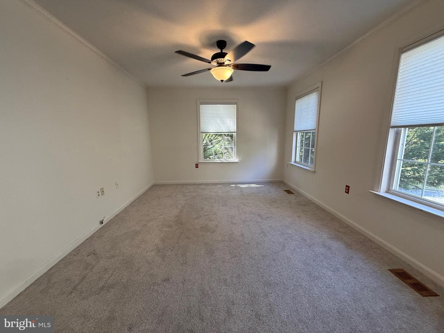 8900 Lennings Lane photo 17