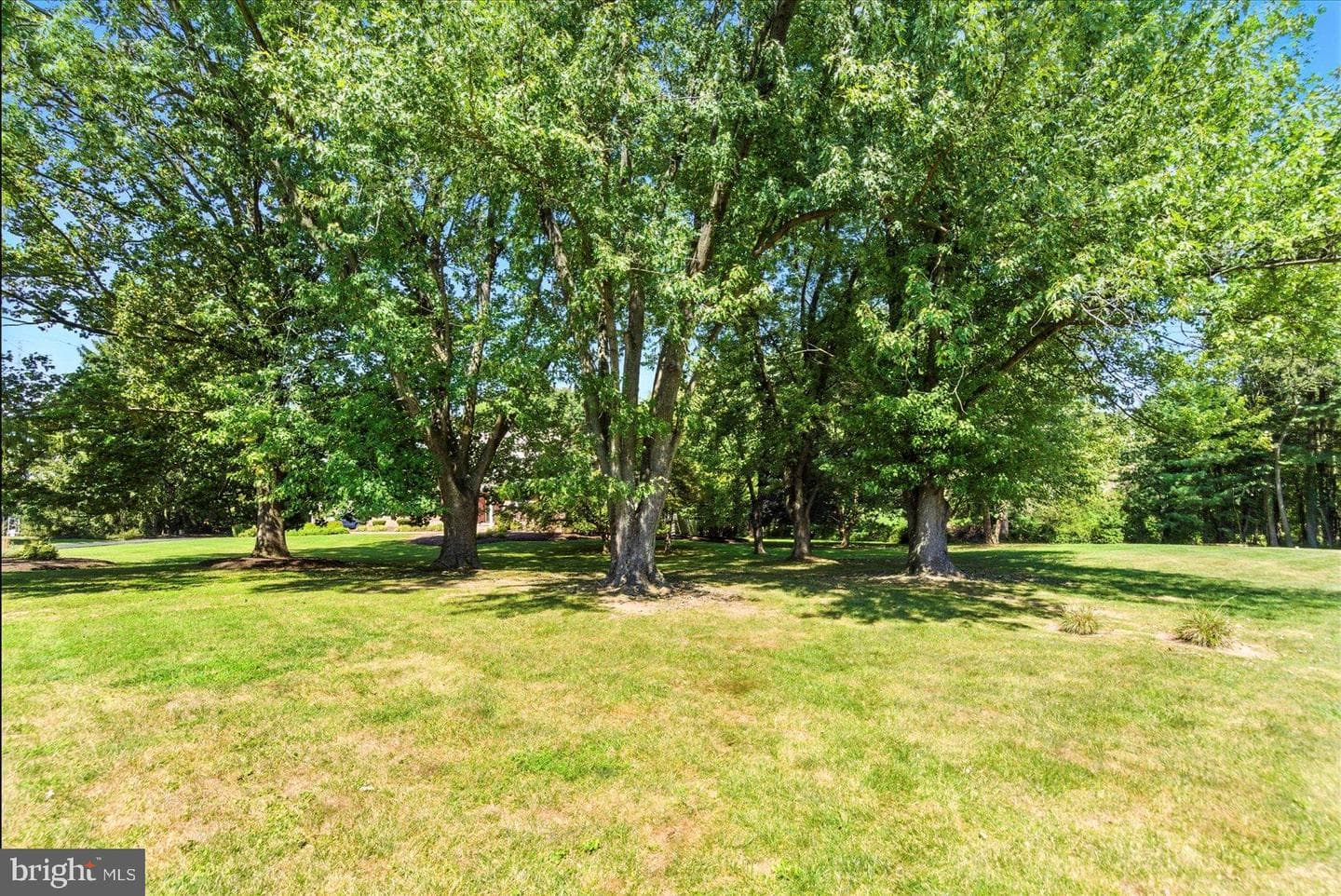 37 Glenbrook Drive photo 11