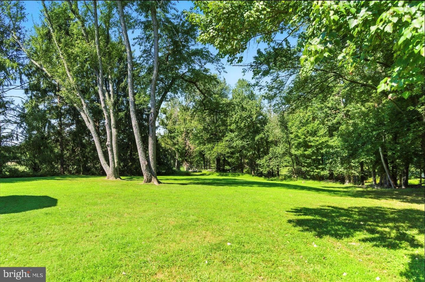 37 Glenbrook Drive photo 13