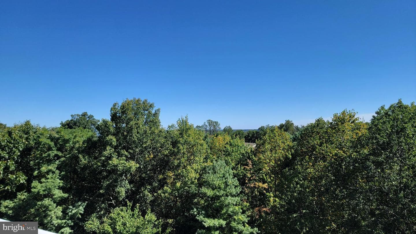 12240 Roundwood Road #604 photo 13
