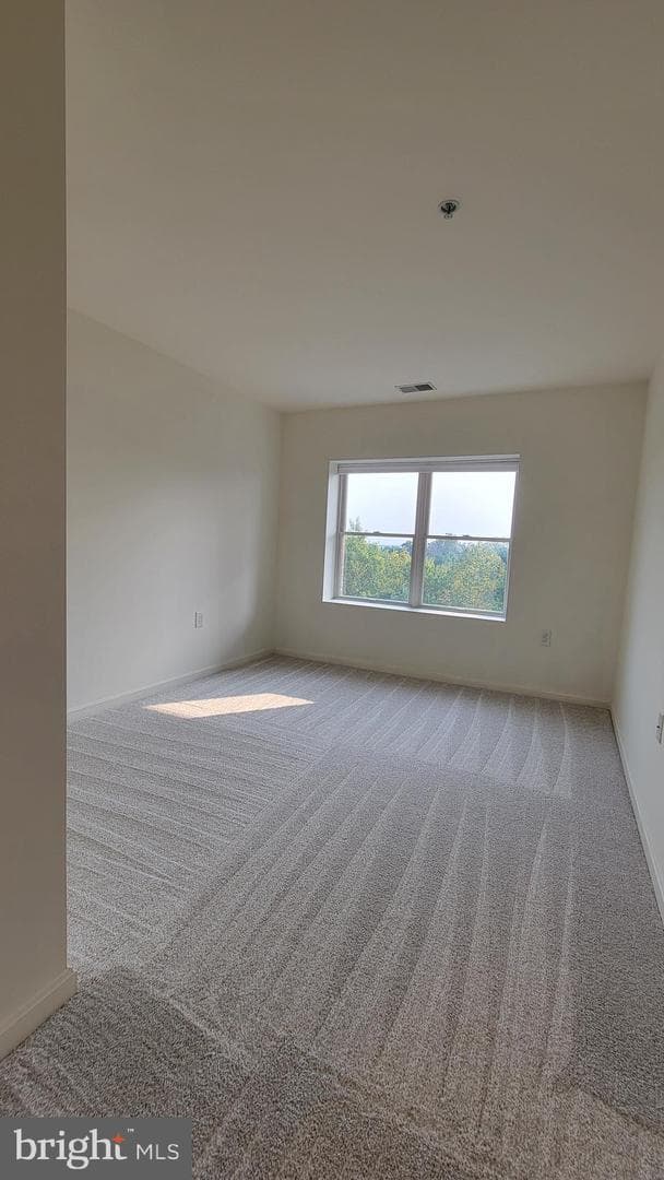 12240 Roundwood Road #604 photo 15