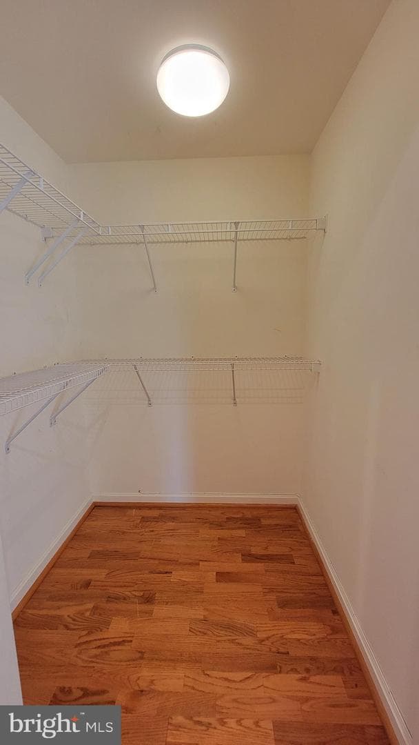 12240 Roundwood Road #604 photo 16