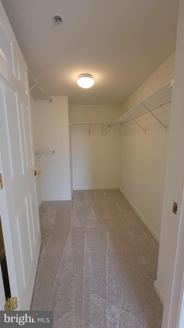 12240 Roundwood Road #604 photo 21