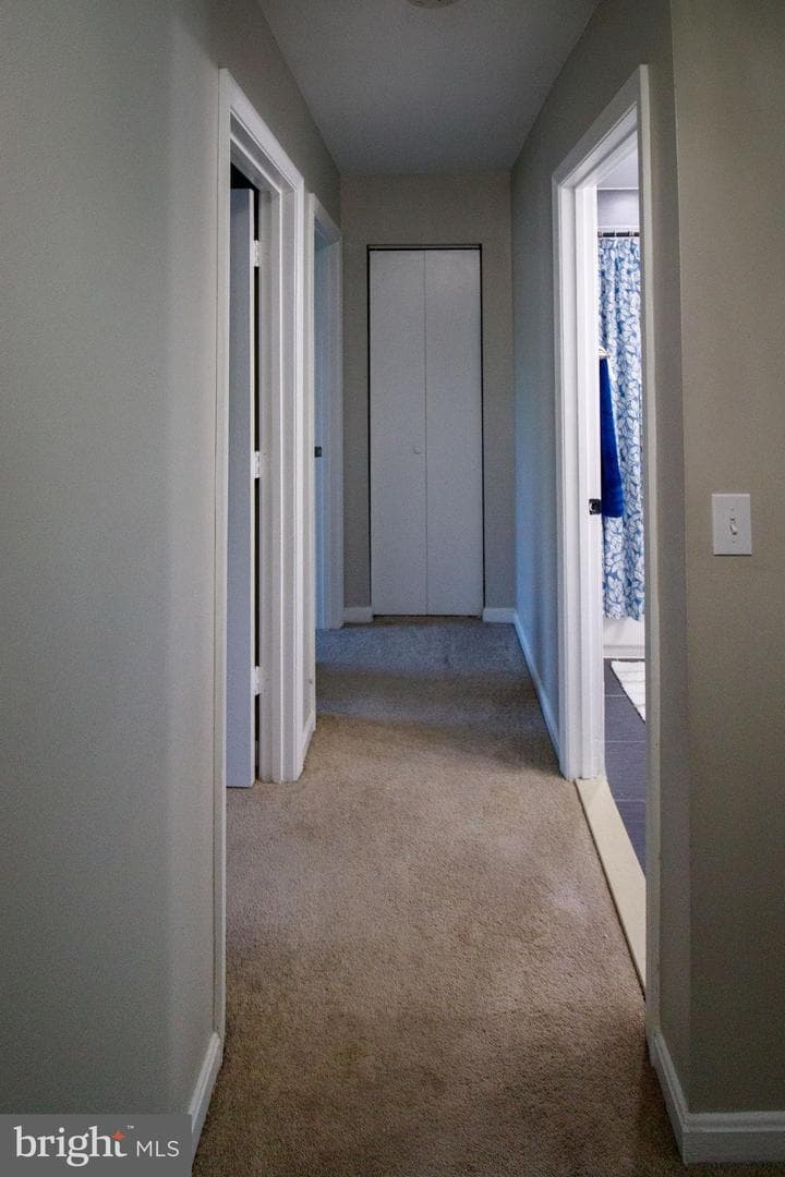 7207 Rutherford Green Circle photo 24