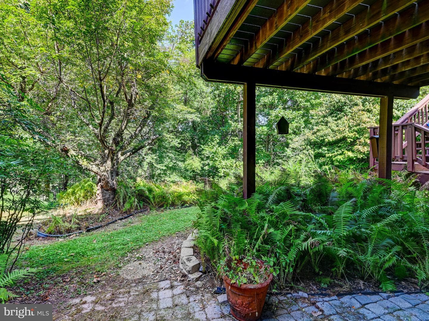 46 Stridesham Court photo 34