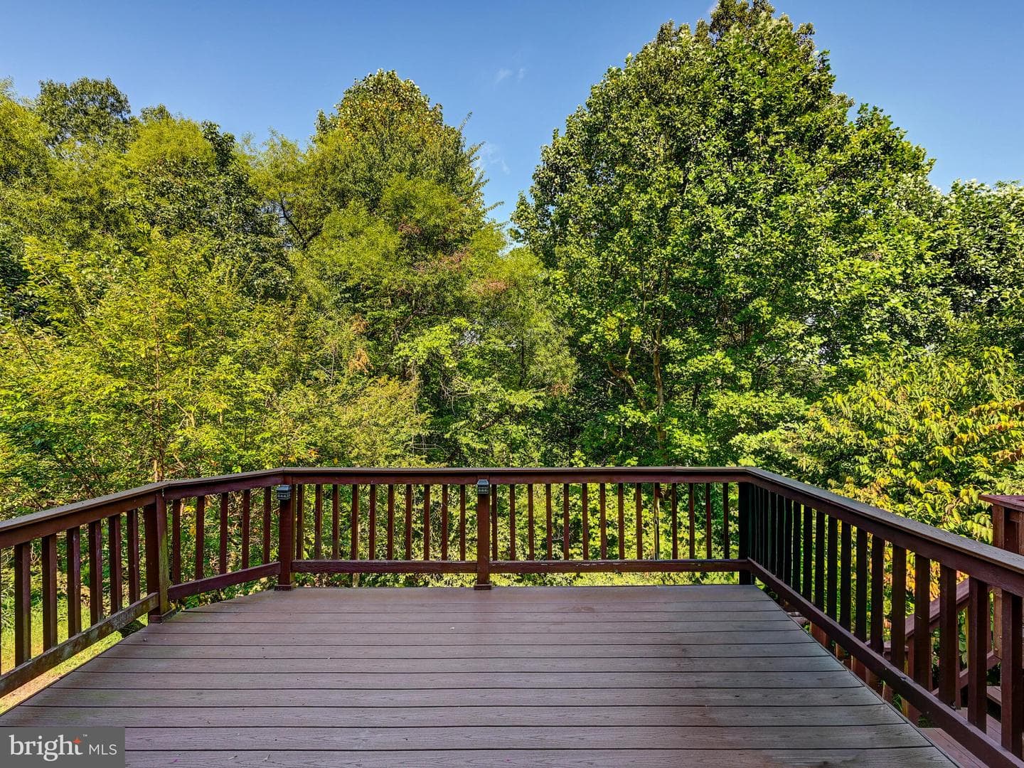 46 Stridesham Court photo 36
