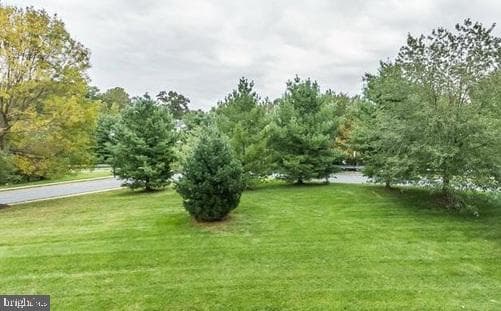 49 Bridle Lane #55 photo 17