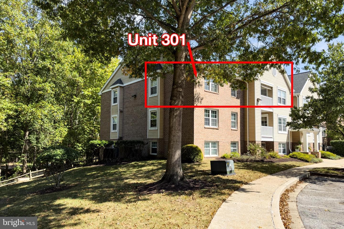 3 Ginford Place #301 photo 3