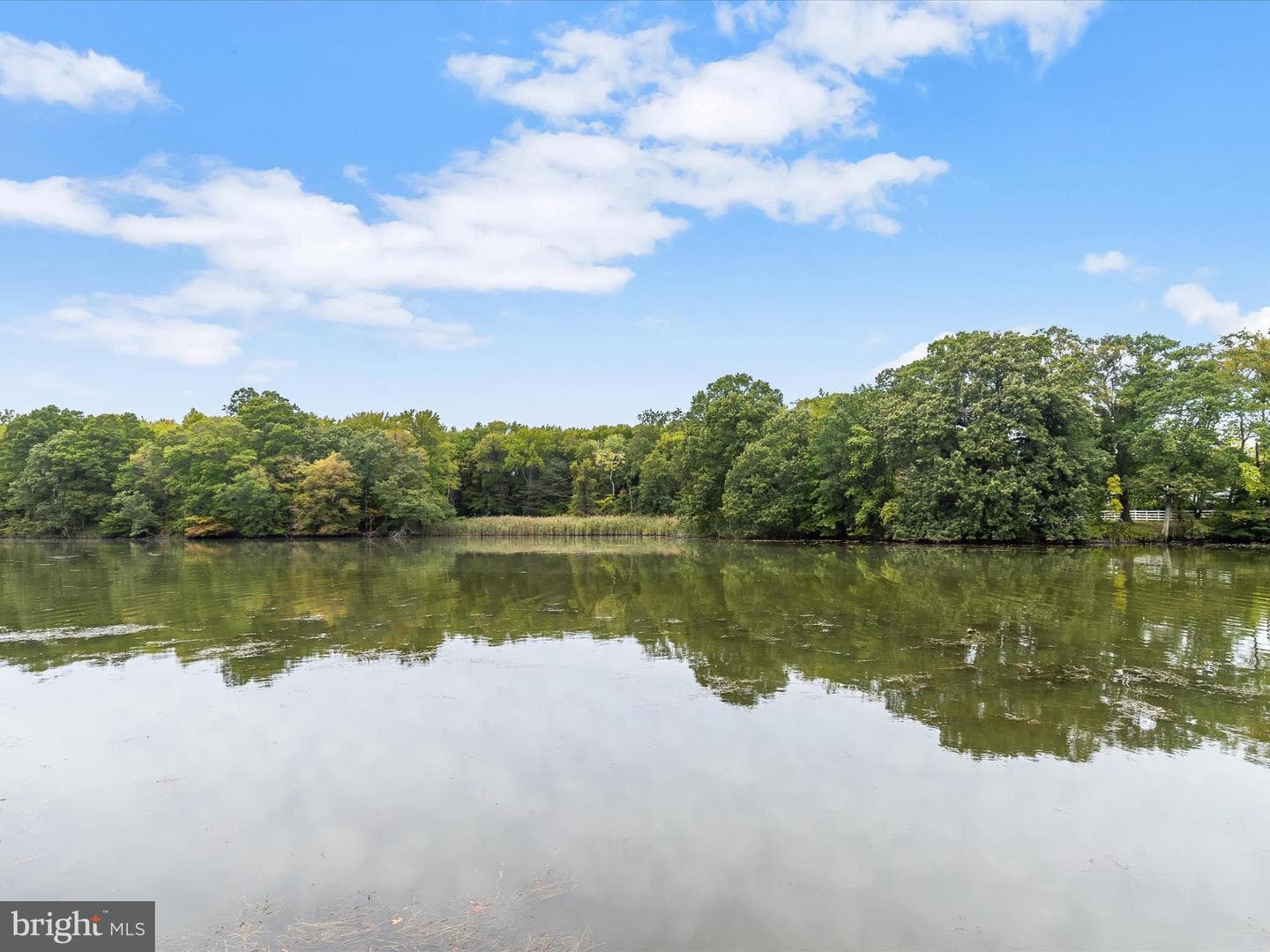 2400 Holly Neck Road photo 6