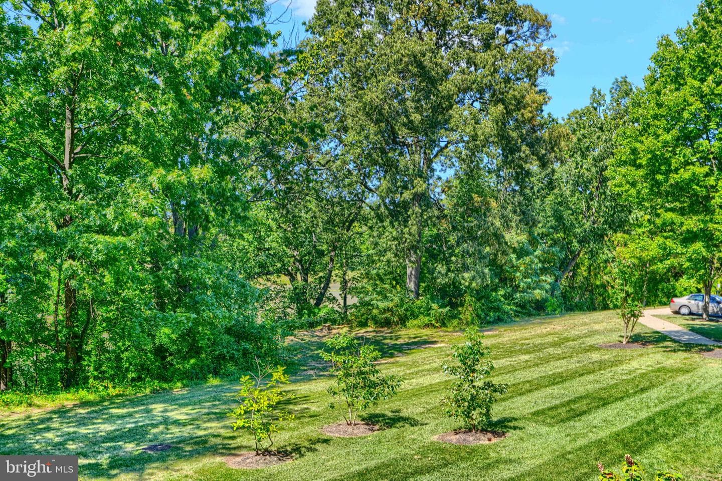 2 Cedar Valley Place #204 photo 22