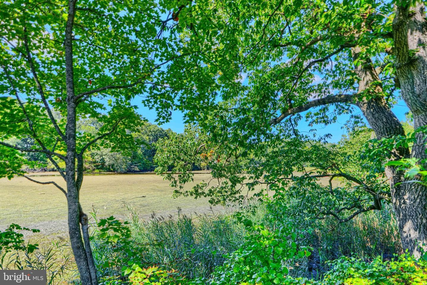 2 Cedar Valley Place #204 photo 23