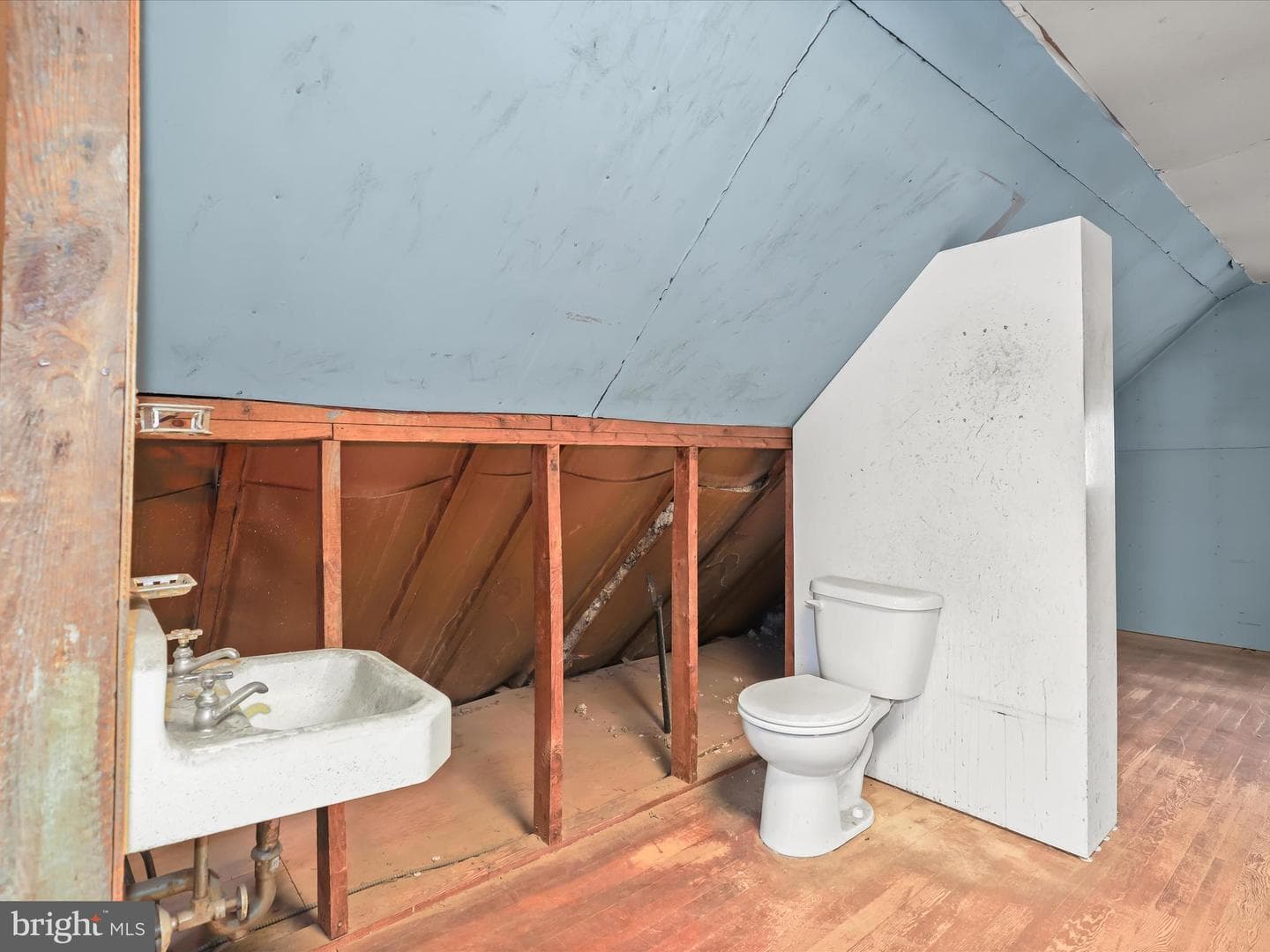 5559 Ashbourne Road photo 22