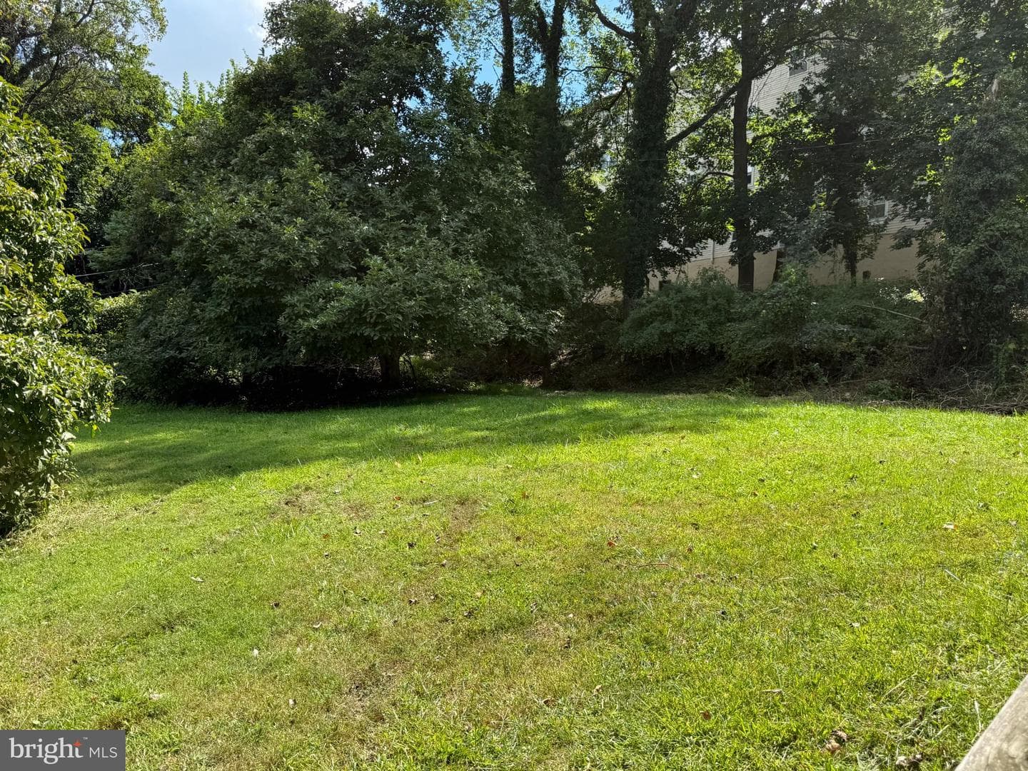 1201 Saint Agnes Lane photo 5