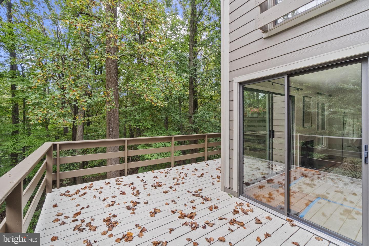 108 Beech Hill Lane #60 photo 22