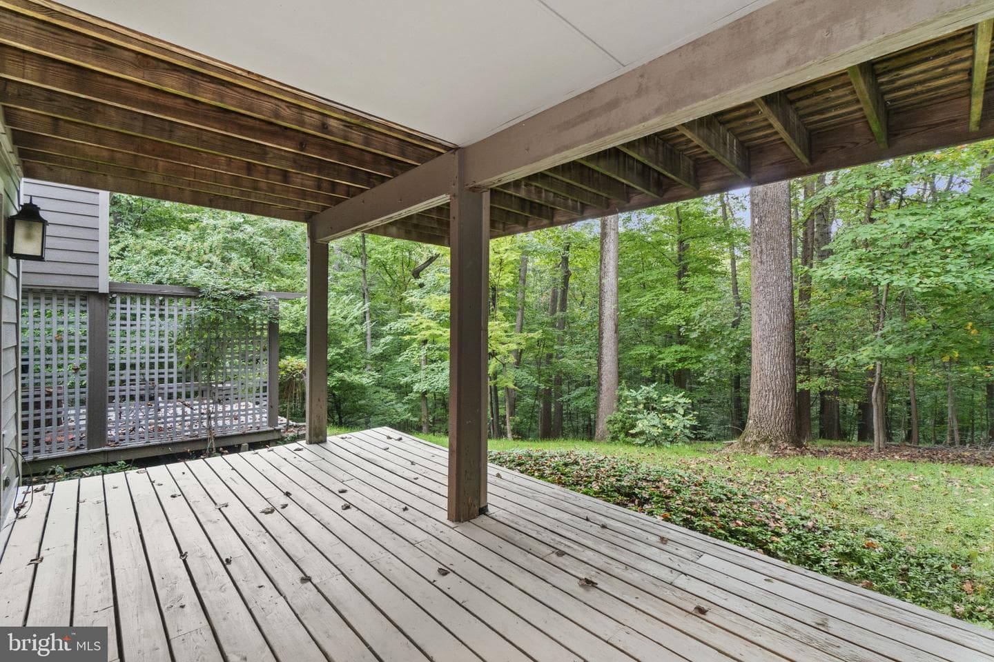 108 Beech Hill Lane #60 photo 23