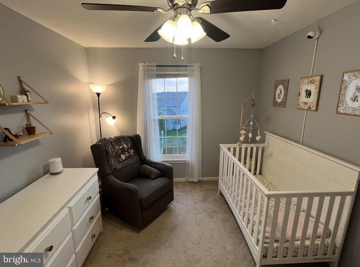 16 Sandview Court photo 34