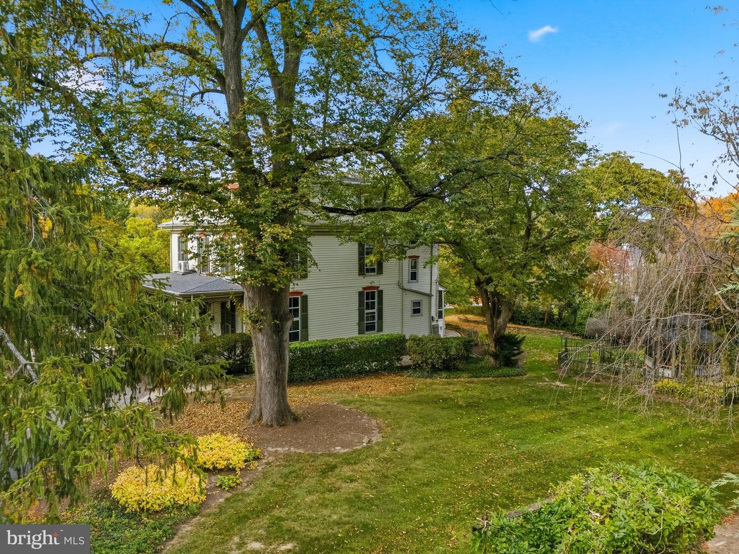308 Morris Avenue photo 69