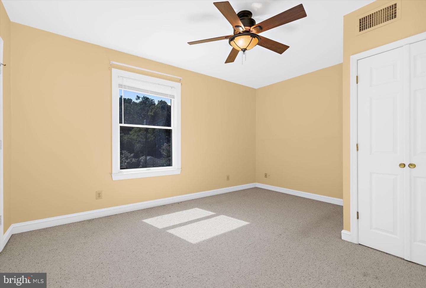 7521 Chesapeake Avenue photo 37