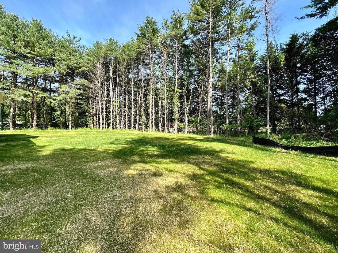 3104 Paper Mill Road photo 52