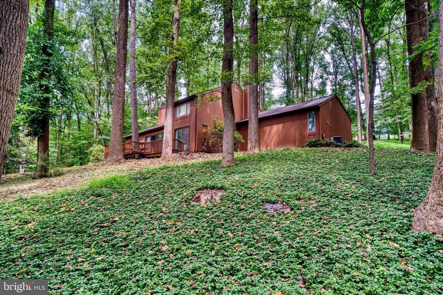 11403 Lhasa Lane photo 11