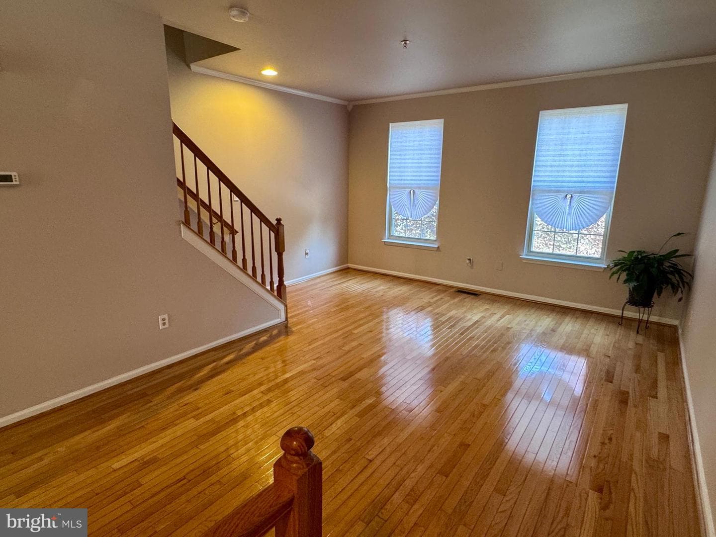 3 Bailey Lane photo 15