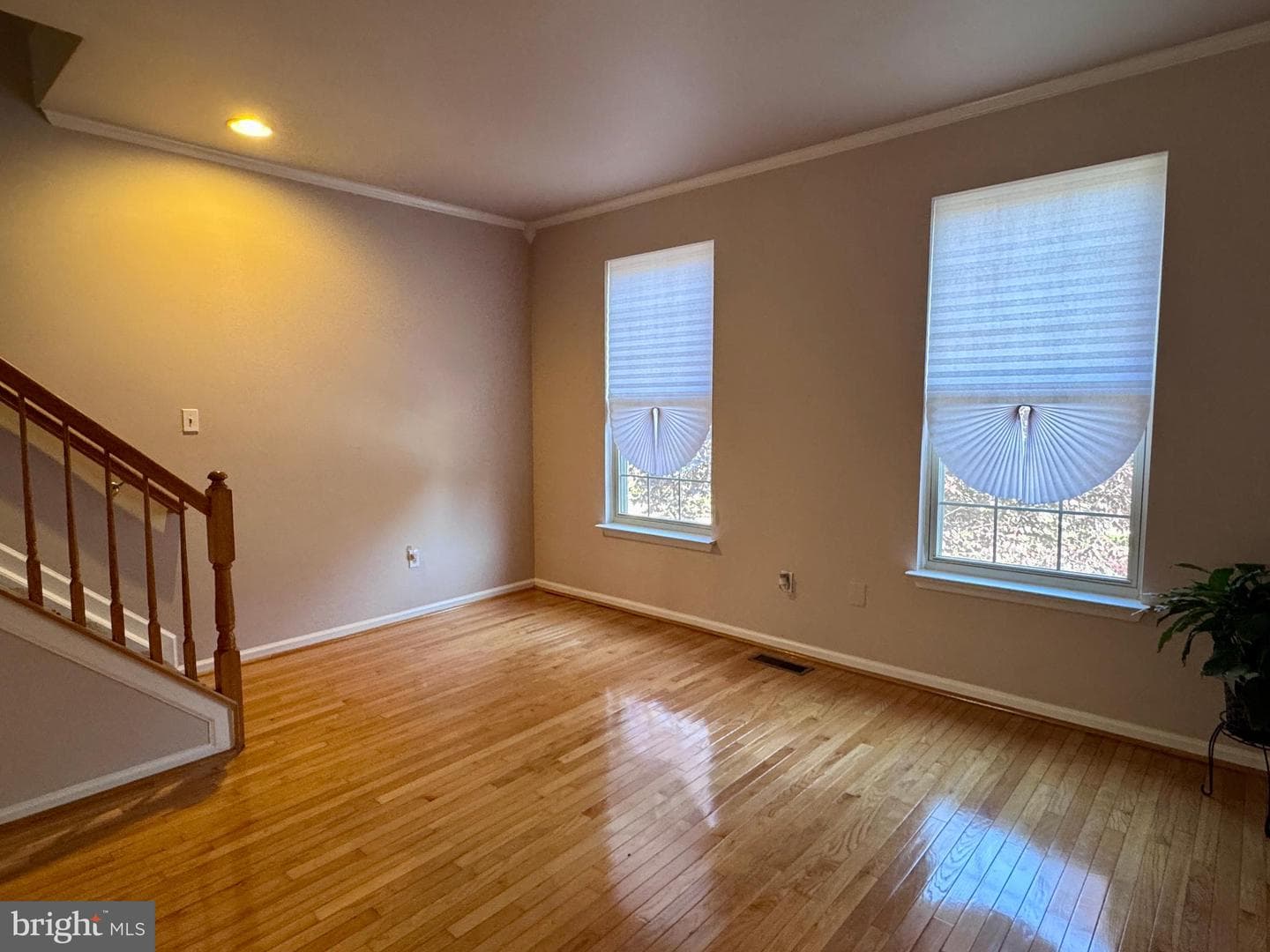 3 Bailey Lane photo 16