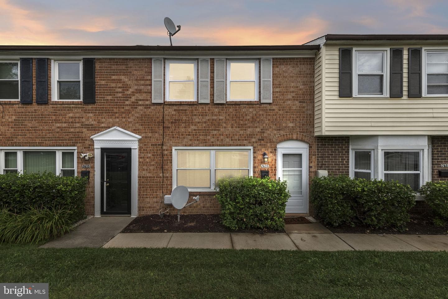2633 Molton #2633