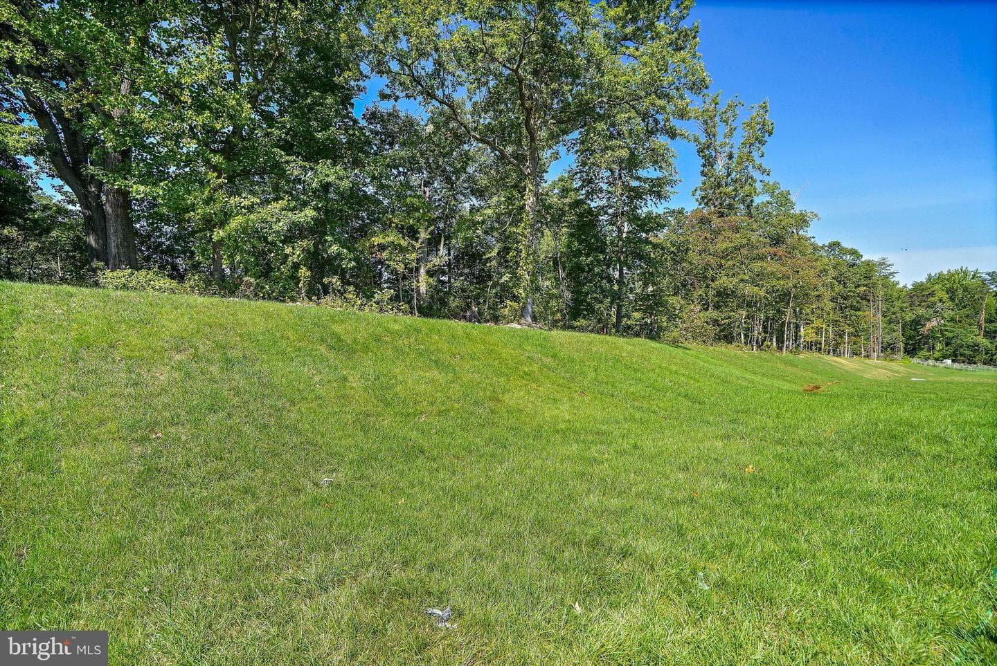 5710 Charlies Way photo 47