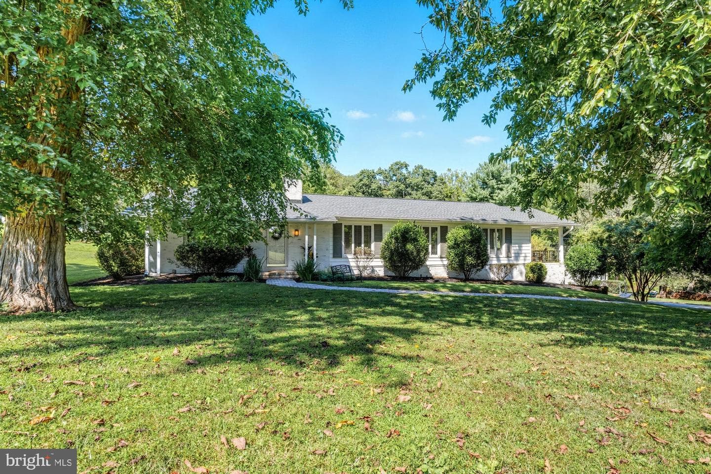 11308 Old Carriage Road photo 5