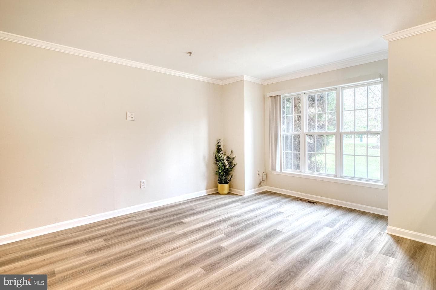 9816 Bon Haven Lane photo 10