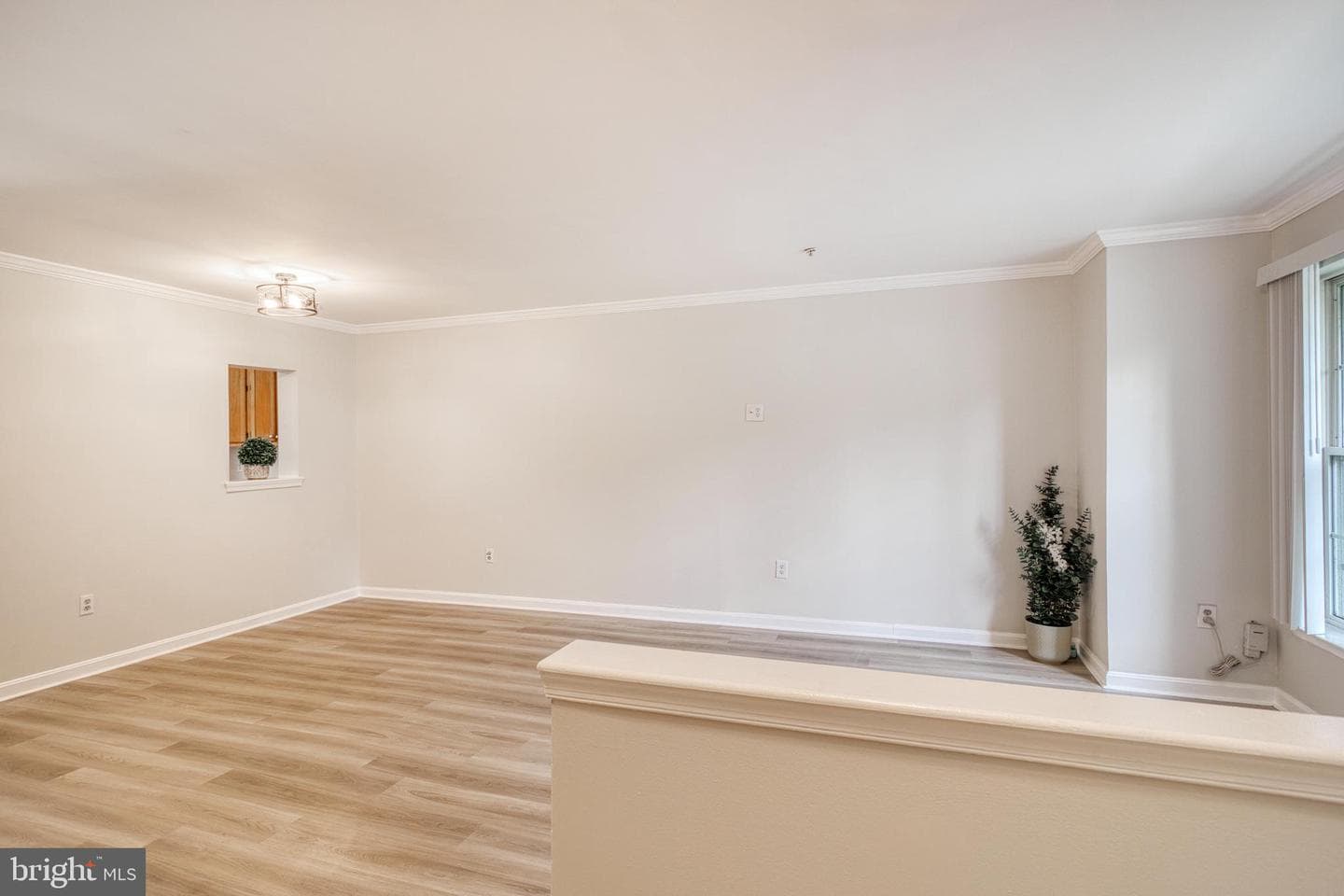 9816 Bon Haven Lane photo 9
