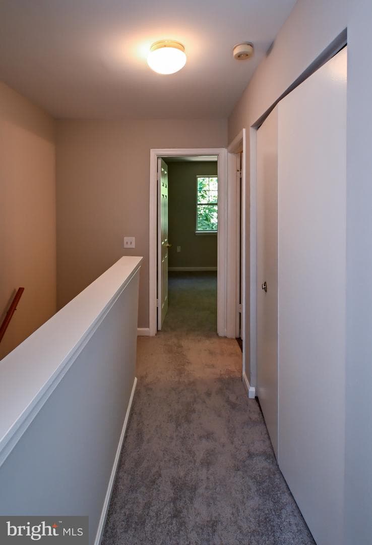 507 Mcmanus Way #507 photo 31
