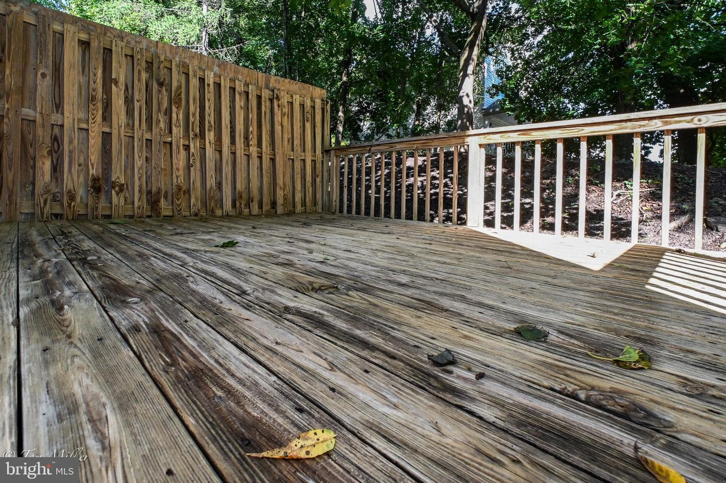 507 Mcmanus Way #507 photo 44
