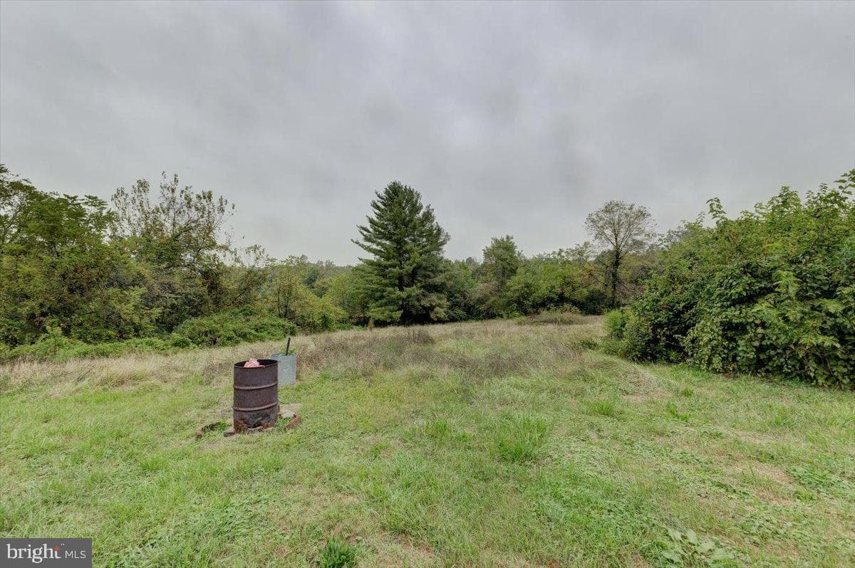 7306 Dogwood Road photo 13