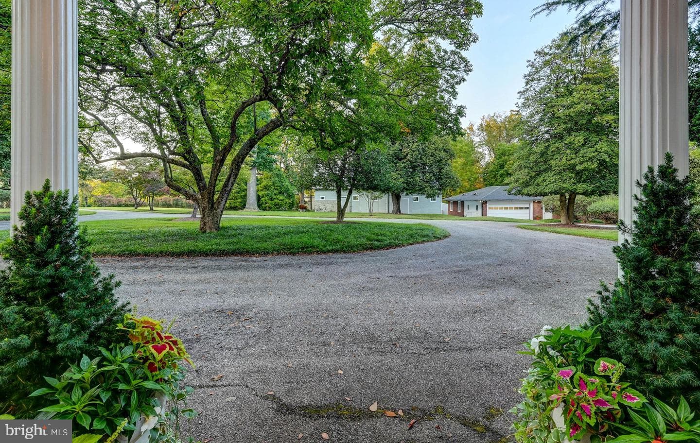 8555 Hill Spring Drive photo 12