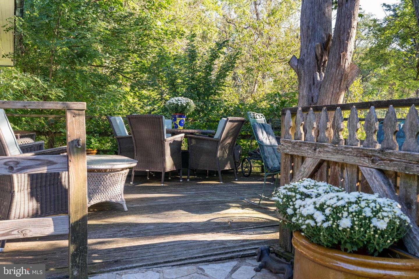 8555 Hill Spring Drive photo 41