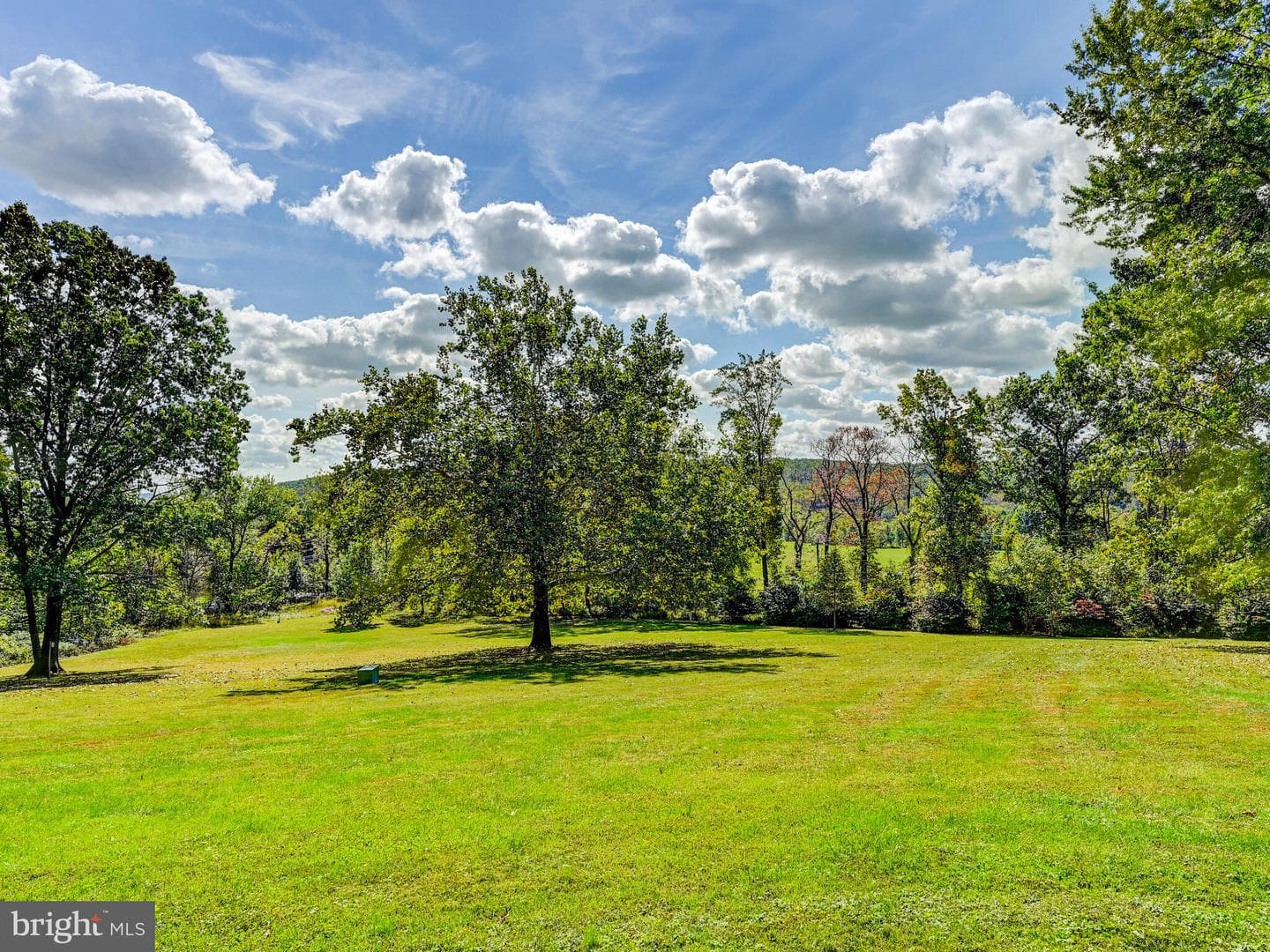 13727 Cuba Road photo 6