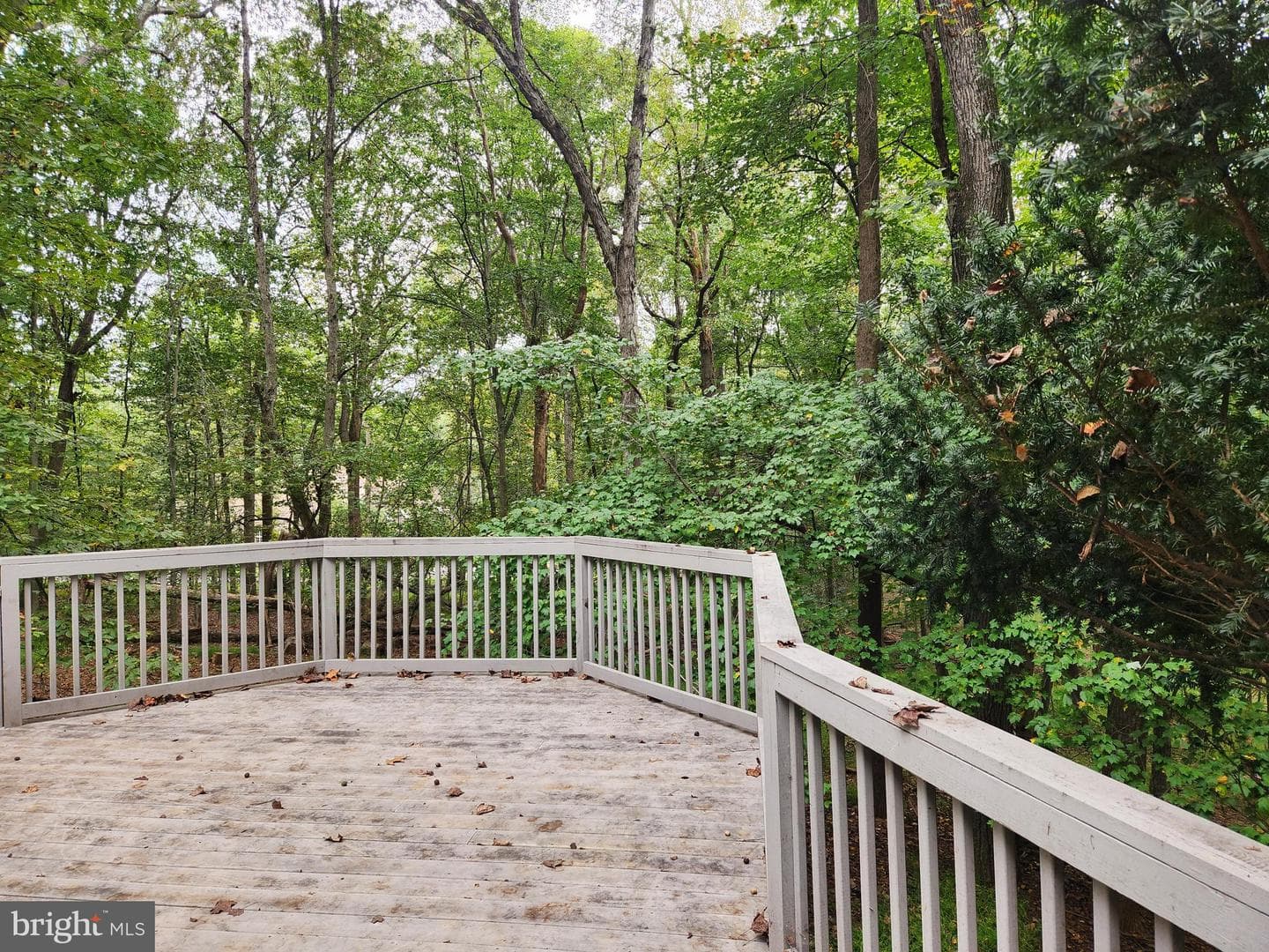 10902 Baronet Road photo 45