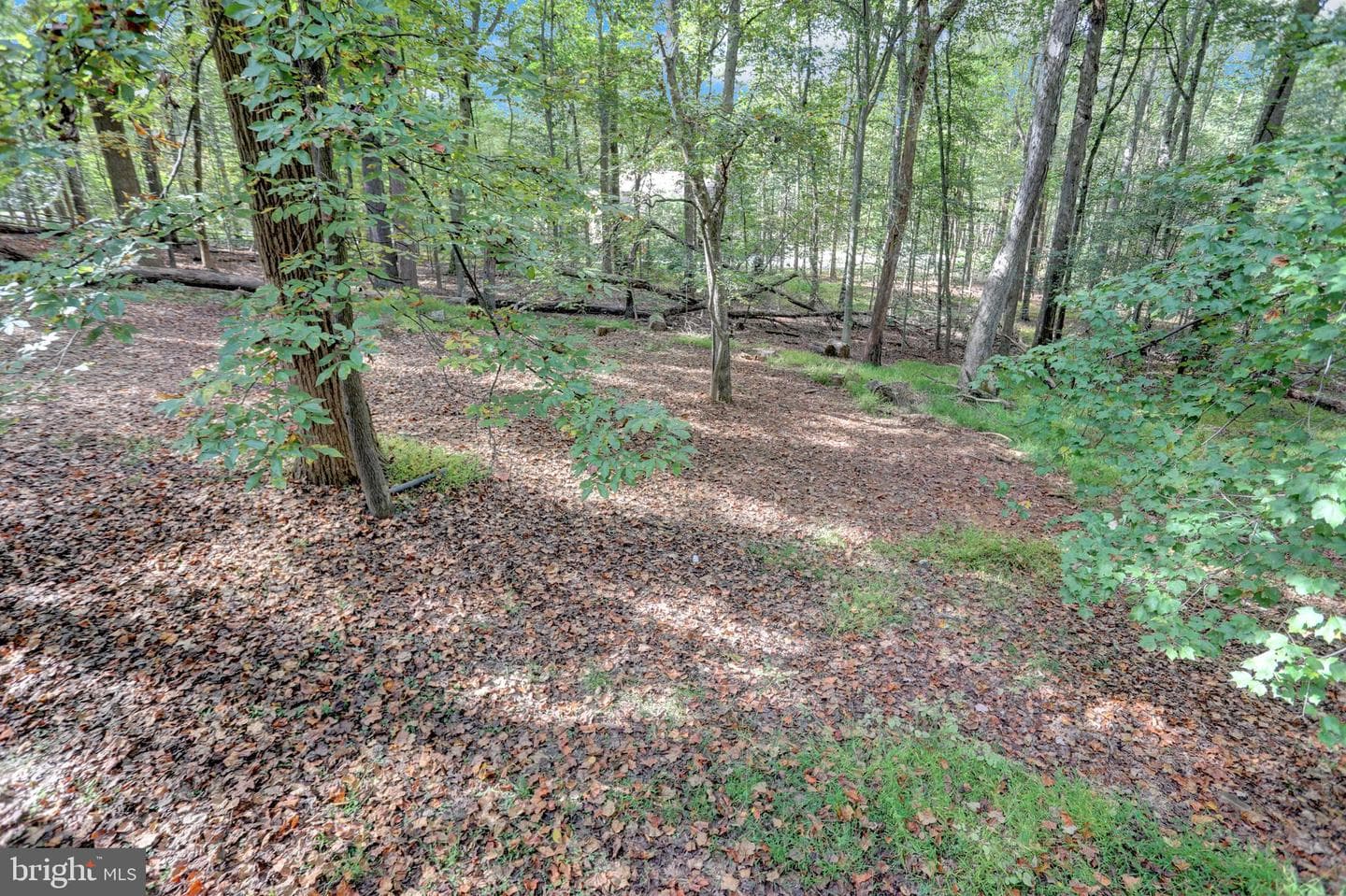10902 Baronet Road photo 57