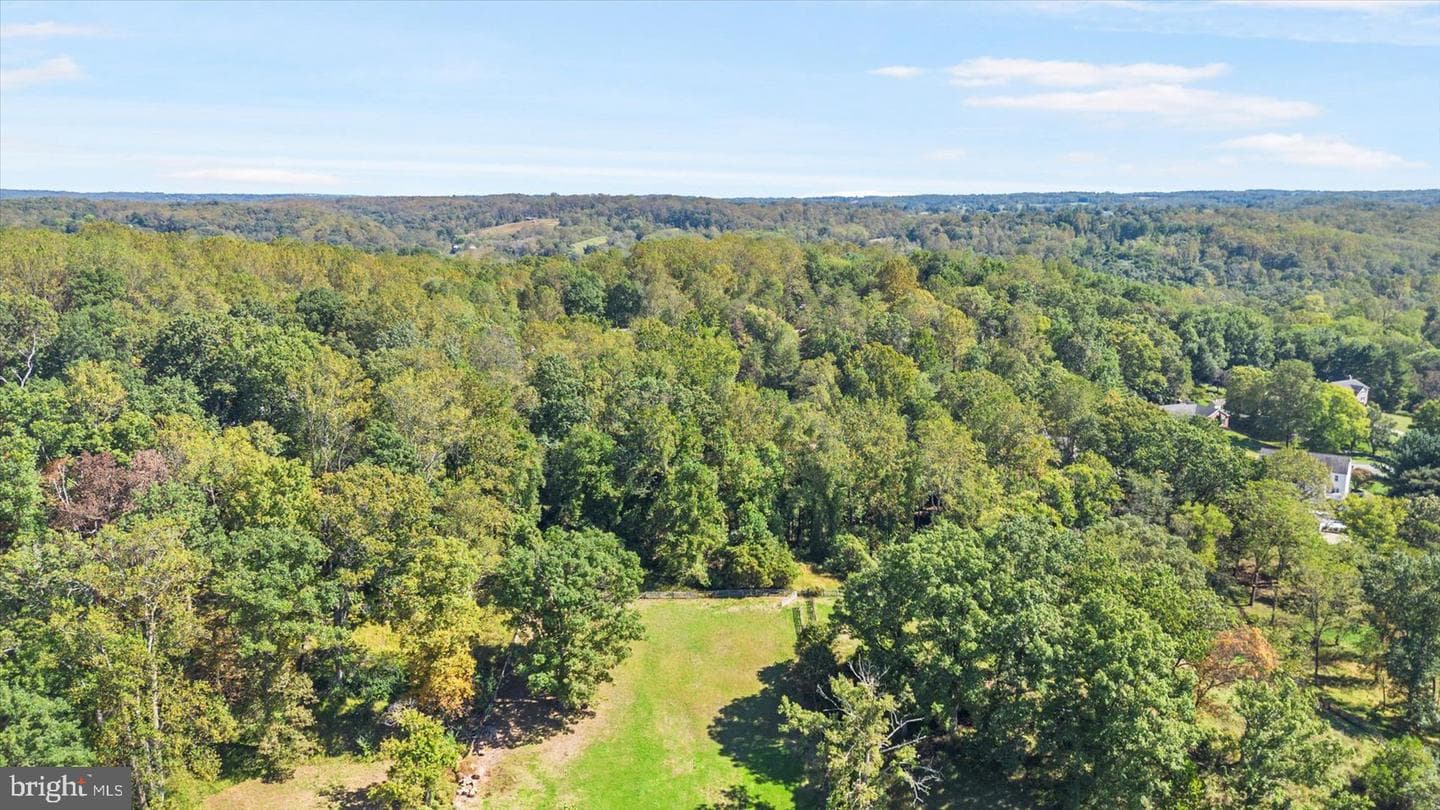 15317 York Road photo 41