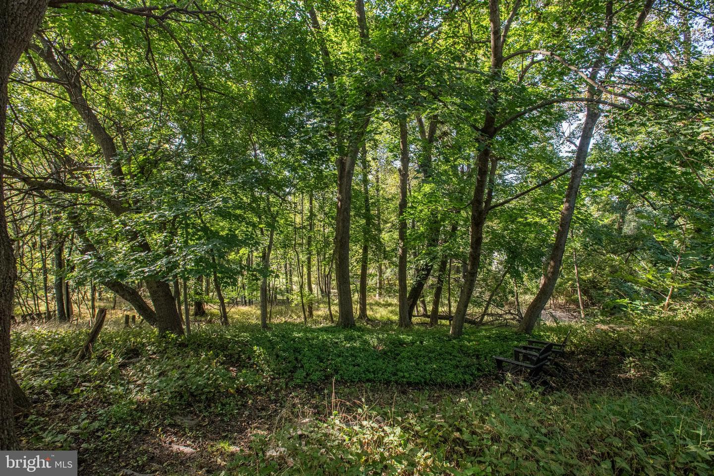 17 Pleasant Hill Road photo 33