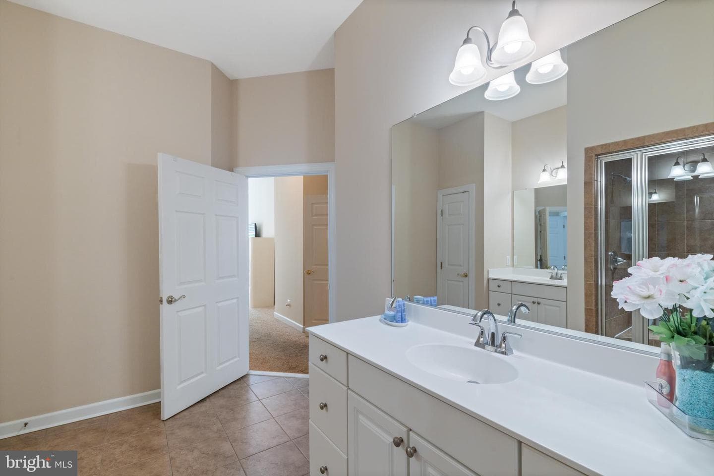8325 Meadowsweet Road #8325 photo 19
