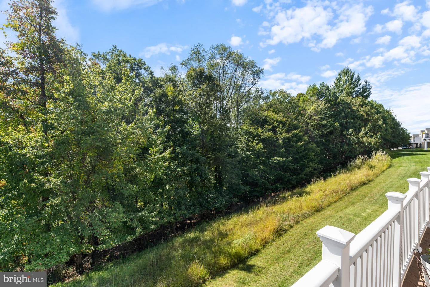 8325 Meadowsweet Road #8325 photo 28
