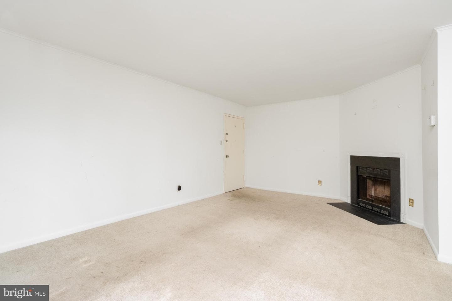 101 Fitz Court #202 photo 6