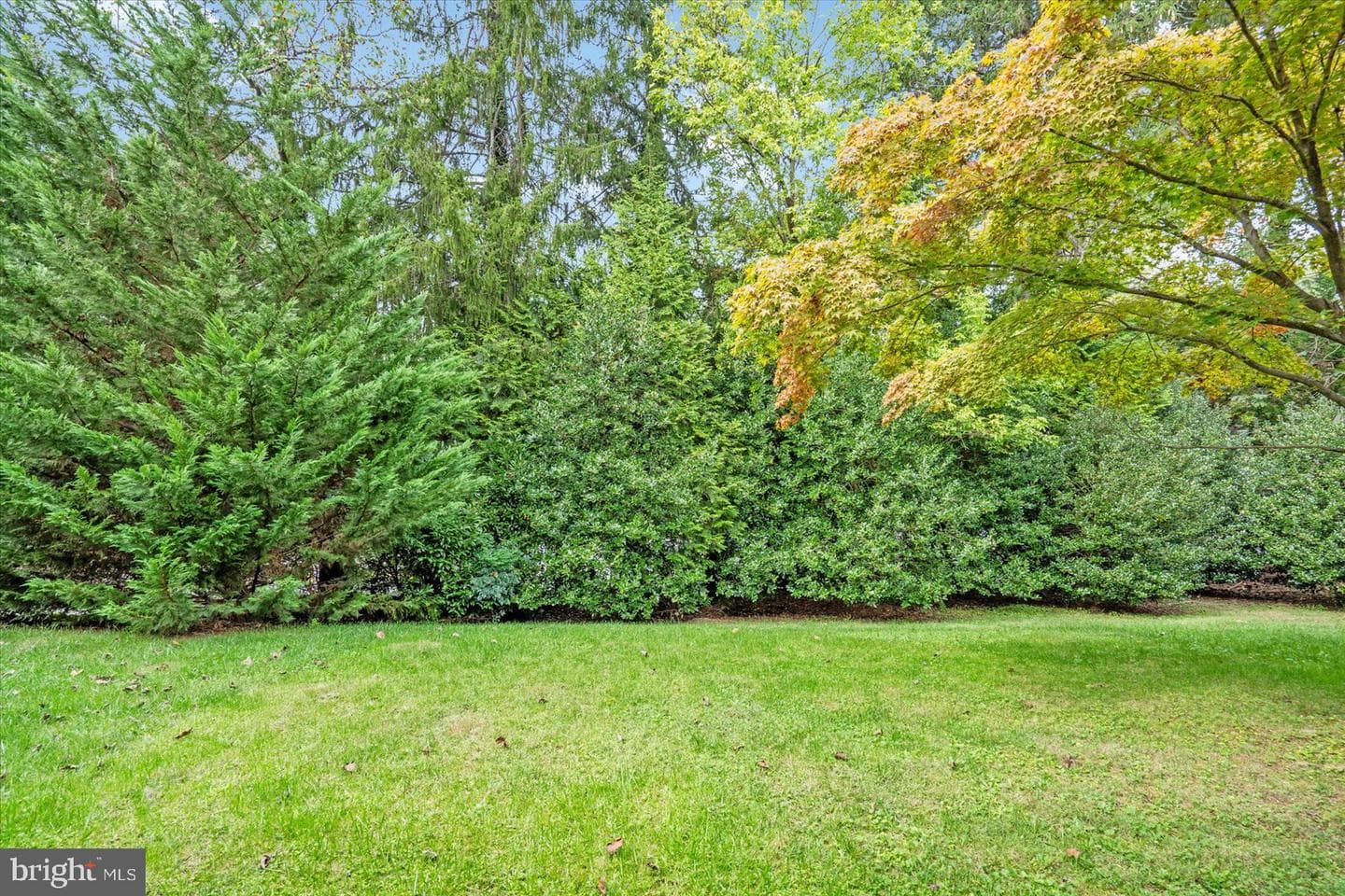 26 Silversage Court photo 42